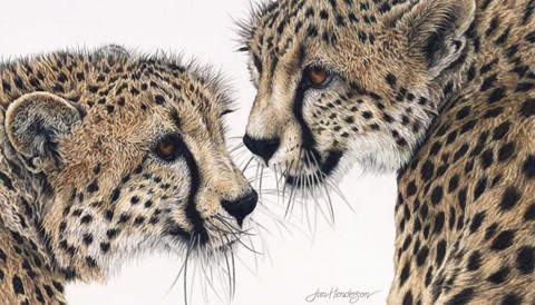 Framed Special Bond Print