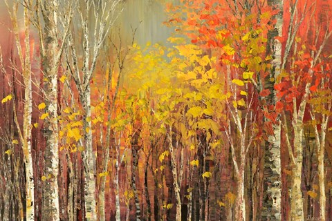 Framed Tangled Colors Print