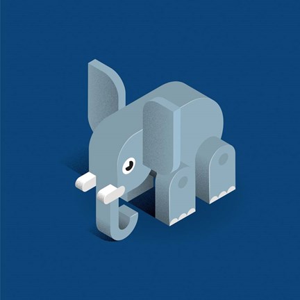 Framed Elephant Print