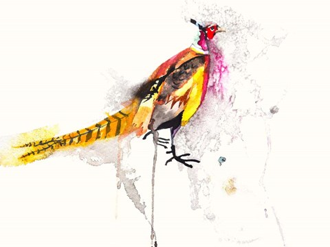 Framed Pheasant Print