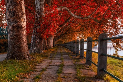 Framed Walk by the River Print