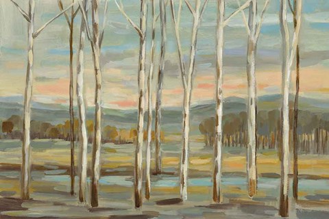 Framed Silver Forest Print