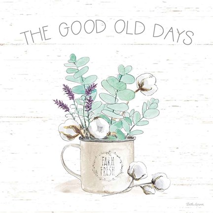 Framed Farmhouse Cotton III Print