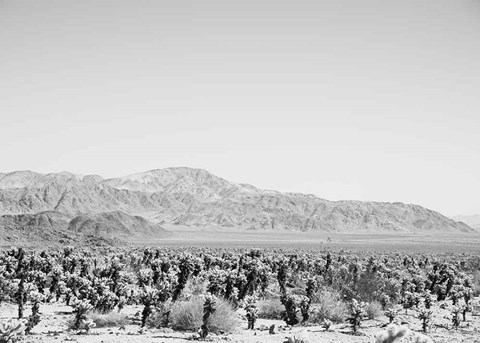 Framed Road Trip IV Crop Print