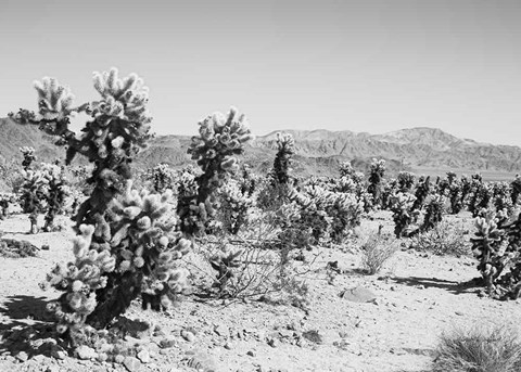 Framed Road Trip III Crop Print