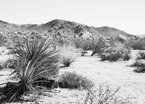 Framed Road Trip II Crop Print