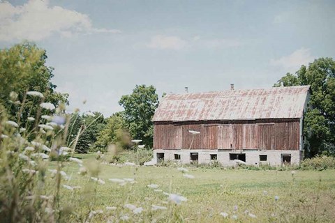 Framed Sun Drenched IV Print