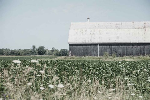 Framed Weathered I Print