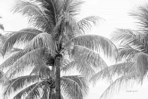 Framed Breezy I Print