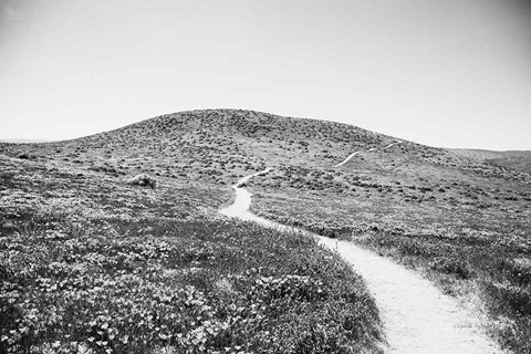 Framed Road Trip V Print