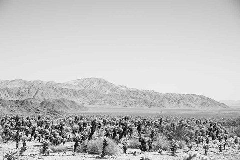 Framed Road Trip IV Print