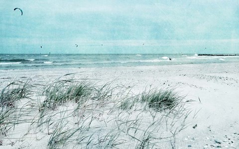 Framed Beach Day Print