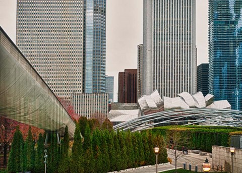 Framed Chicago 350 Print