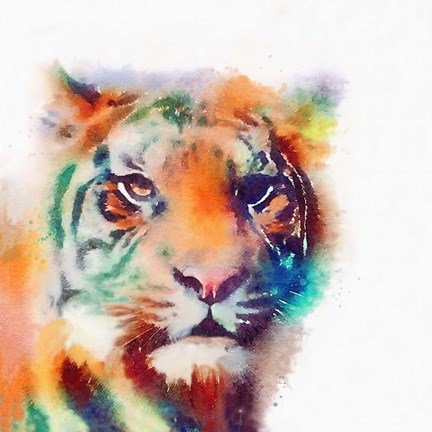 Framed Elusive II Print