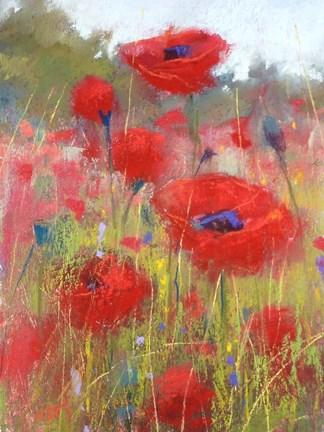 Framed In the Poppy Field Print