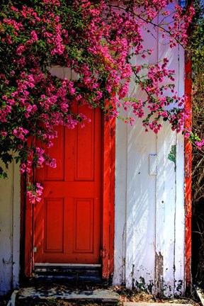 Framed Red Door Print