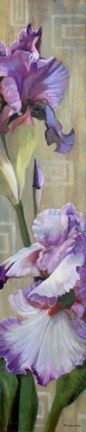 Framed Iris III Print