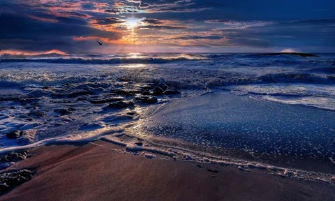 Framed Deep Blue Print