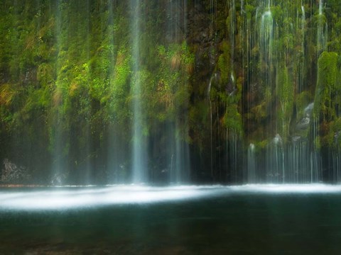 Framed Paradise Print