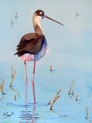 Framed Black Neck Stilt III Print