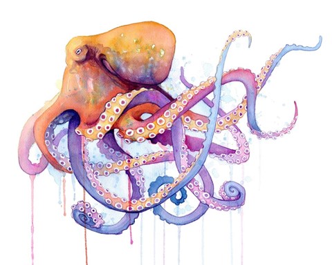 Framed Octopus 2 Print