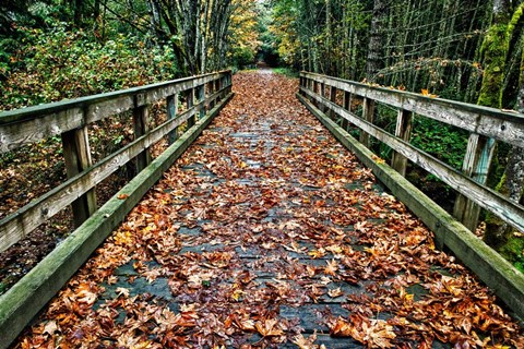 Framed Galloping Goose Print