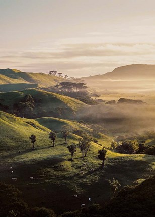 Framed Bishop 18 Print