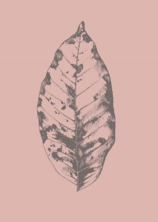 Framed Botanica 1 Print