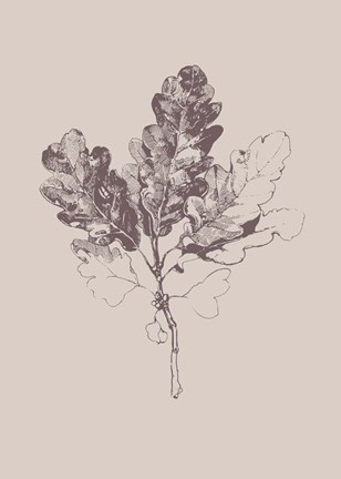 Framed Botanica 3 Print