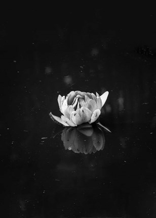 Framed Floating 2 Print