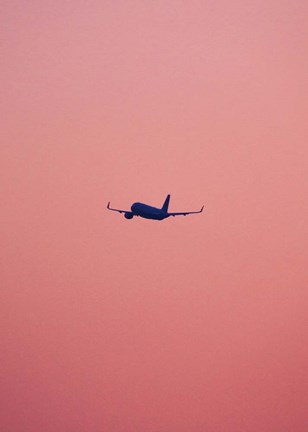 Framed Pink Flight Print