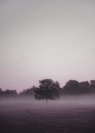 Framed Purple Light 2 Print