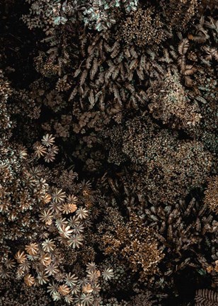 Framed Secret 11 Print