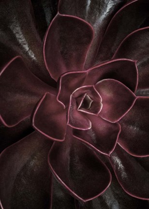 Framed Secret 16 Print