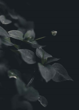 Framed Secret 9 Print