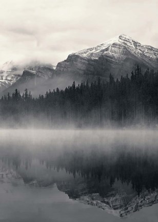 Framed Great Escape Print