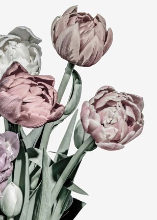 Framed Tulips Bright Print