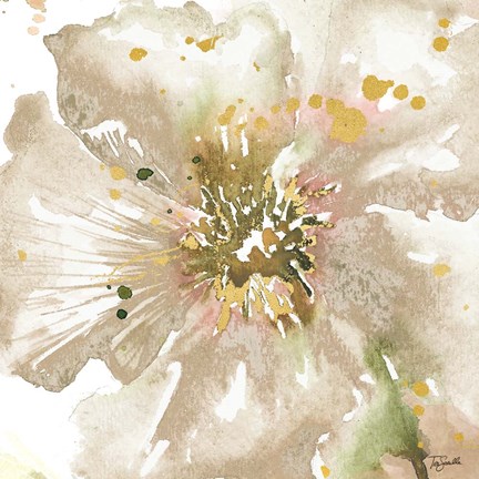 Framed Neutral Watercolor Poppy Close Up II Print