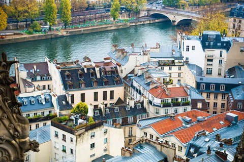 Framed Paris Rooftops Print