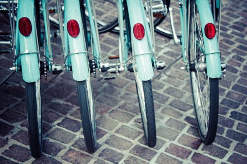 Framed Bicycle Line Up 1 Print