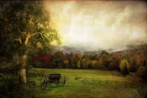 Framed Abandoned Wagon Print