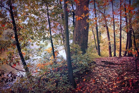 Framed Season of Colors Print