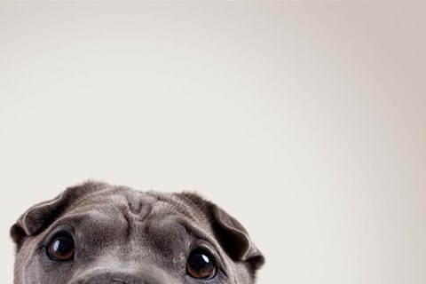 Framed Pelei&#39;s Eyes Print