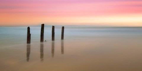 Framed Awakenings Print