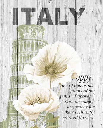 Framed Italy Poppies Print