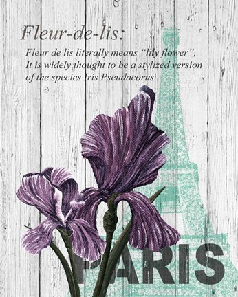 Framed Paris Iris Print