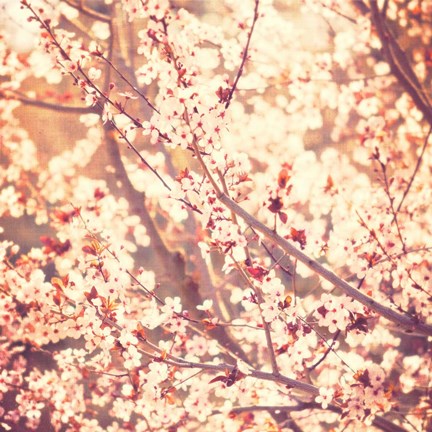 Framed Oh To Be a Bumblebee No. 3 Print