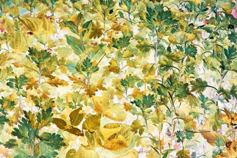 Framed Autumn Tapestry Print