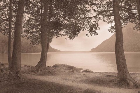 Framed By the Lake Print