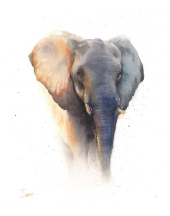 Framed Elephant Watercolor Print